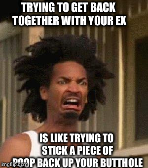 Disgusted Face | TRYING TO GET BACK TOGETHER WITH YOUR EX; IS LIKE TRYING TO STICK A PIECE OF POOP BACK UP YOUR BUTTHOLE | image tagged in disgusted face | made w/ Imgflip meme maker
