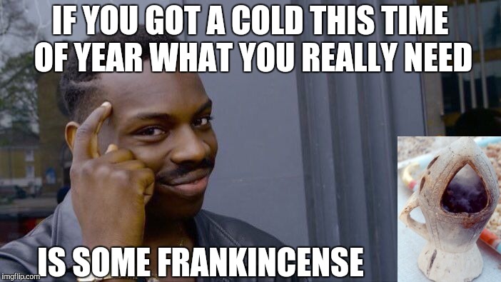 Roll Safe Think About It Meme | IF YOU GOT A COLD THIS TIME OF YEAR WHAT YOU REALLY NEED IS SOME FRANKINCENSE | image tagged in memes,roll safe think about it | made w/ Imgflip meme maker