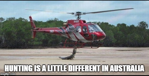 Hunting in Australia: Who is the hunter? | HUNTING IS A LITTLE DIFFERENT IN AUSTRALIA | image tagged in meanwhile in australia,australia,hunting,chopper | made w/ Imgflip meme maker
