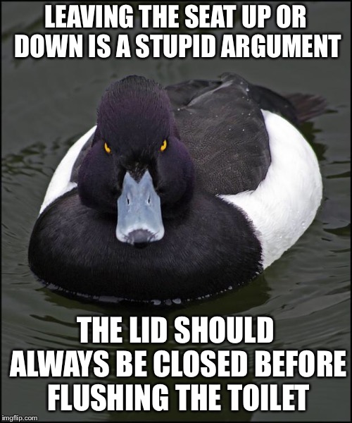 Angry duck | LEAVING THE SEAT UP OR DOWN IS A STUPID ARGUMENT; THE LID SHOULD ALWAYS BE CLOSED BEFORE FLUSHING THE TOILET | image tagged in angry duck,AdviceAnimals | made w/ Imgflip meme maker