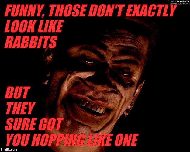 . red dark | FUNNY, THOSE DON'T EXACTLY                LOOK LIKE             
                    RABBITS BUT          THEY              SURE GOT         | image tagged in g-man from half-life | made w/ Imgflip meme maker