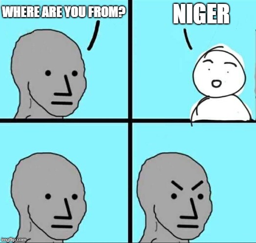 NPC Meme | NIGER; WHERE ARE YOU FROM? | image tagged in npc meme | made w/ Imgflip meme maker