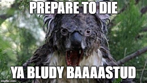 Angry Koala Meme | PREPARE TO DIE YA BLUDY BAAAASTUD | image tagged in memes,angry koala | made w/ Imgflip meme maker