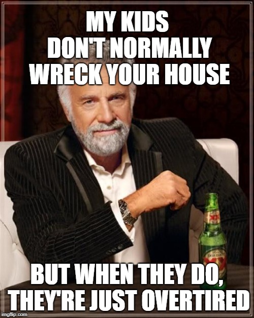 The Most Interesting Man In The World Meme | MY KIDS DON'T NORMALLY WRECK YOUR HOUSE BUT WHEN THEY DO, THEY'RE JUST OVERTIRED | image tagged in memes,the most interesting man in the world | made w/ Imgflip meme maker