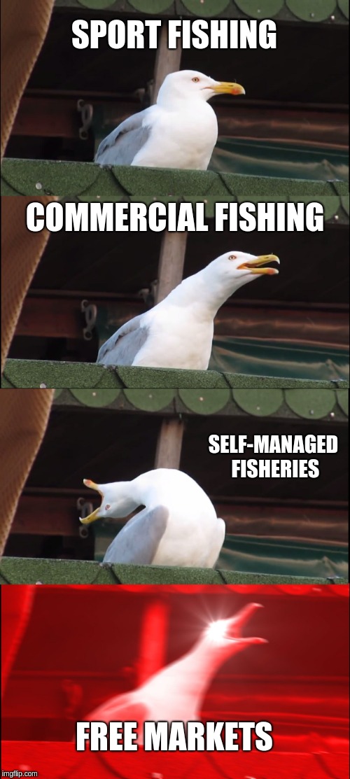 Inhaling Seagull | SPORT FISHING; COMMERCIAL FISHING; SELF-MANAGED FISHERIES; FREE MARKETS | image tagged in memes,inhaling seagull | made w/ Imgflip meme maker