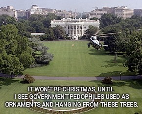 Washington DC Christmas | IT WON'T BE CHRISTMAS, UNTIL I SEE GOVERNMENT PEDOPHILES USED AS ORNAMENTS AND HANGING FROM THESE TREES. | image tagged in memes,government corruption,pedophiles,christmas decorations,christmas tree,hope and change | made w/ Imgflip meme maker