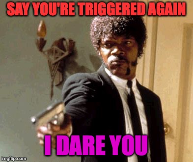 Say That Again I Dare You | SAY YOU'RE TRIGGERED AGAIN; I DARE YOU | image tagged in memes,say that again i dare you | made w/ Imgflip meme maker