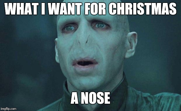 Voldemort | WHAT I WANT FOR CHRISTMAS; A NOSE | image tagged in voldemort | made w/ Imgflip meme maker