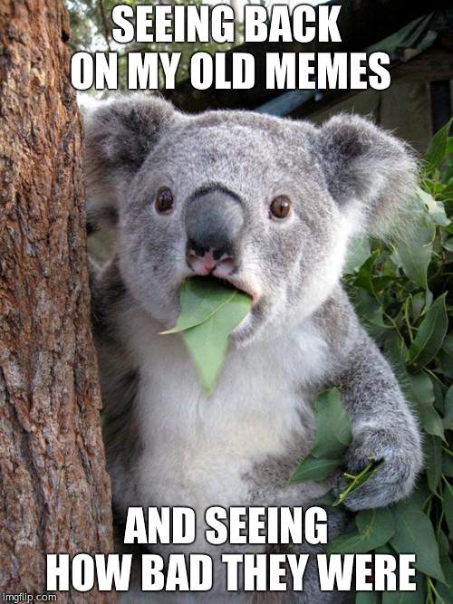 Surprised Koala Meme | SEEING BACK ON MY OLD MEMES; AND SEEING HOW BAD THEY WERE | image tagged in memes,surprised koala | made w/ Imgflip meme maker