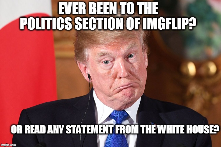 Trump dumbfounded | EVER BEEN TO THE POLITICS SECTION OF IMGFLIP? OR READ ANY STATEMENT FROM THE WHITE HOUSE? | image tagged in trump dumbfounded | made w/ Imgflip meme maker