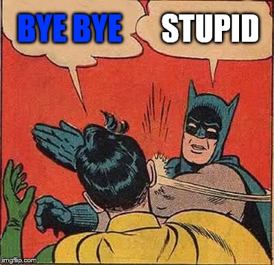 Batman Slapping Robin Meme | BYE BYE; STUPID | image tagged in memes,batman slapping robin | made w/ Imgflip meme maker