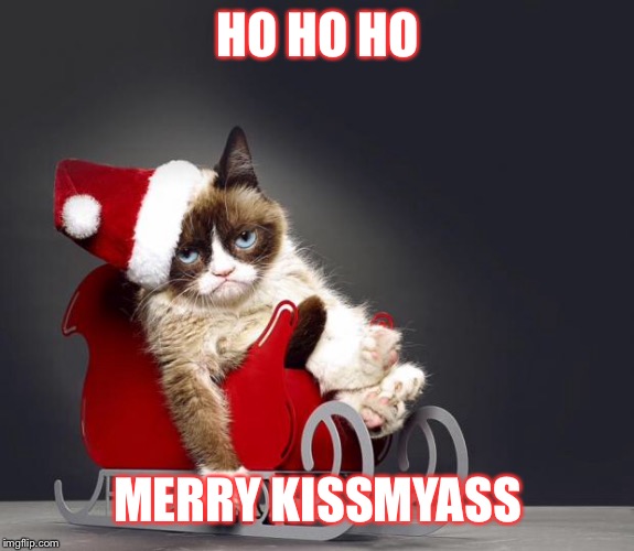 Grumpy Cat Christmas HD | HO HO HO; MERRY KISSMYASS | image tagged in grumpy cat christmas hd,grumpy cat,christmas,merry christmas,funny,memes | made w/ Imgflip meme maker