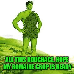 ALL THIS ROUGHAGE, HOPE MY ROMAINE CROP IS READY | made w/ Imgflip meme maker