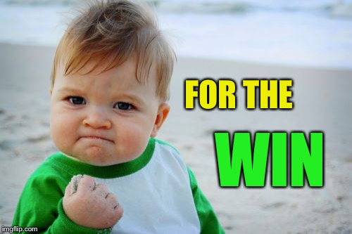 Success Kid Original Meme | FOR THE WIN | image tagged in memes,success kid original | made w/ Imgflip meme maker