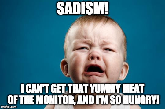 BABY CRYING | SADISM! I CAN'T GET THAT YUMMY MEAT OF THE MONITOR, AND I'M SO HUNGRY! | image tagged in baby crying | made w/ Imgflip meme maker