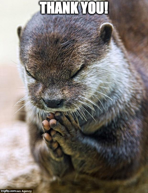 Thank you Lord Otter | THANK YOU! | image tagged in thank you lord otter | made w/ Imgflip meme maker