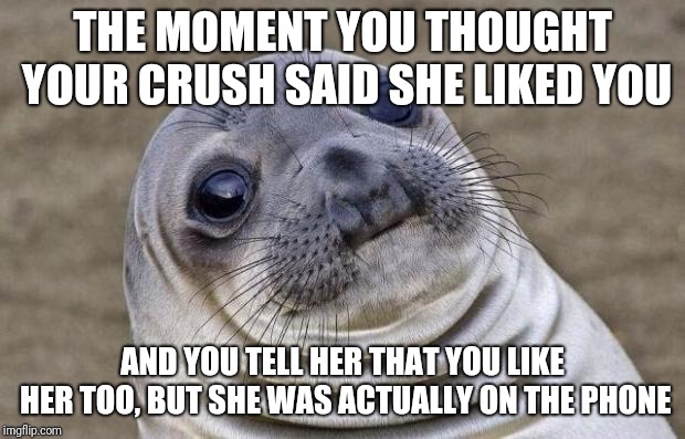 Awkward Moment Sealion | THE MOMENT YOU THOUGHT YOUR CRUSH SAID SHE LIKED YOU; AND YOU TELL HER THAT YOU LIKE HER TOO, BUT SHE WAS ACTUALLY ON THE PHONE | image tagged in memes,awkward moment sealion | made w/ Imgflip meme maker