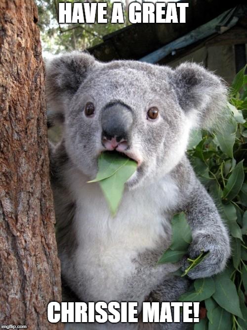 Surprised Koala Meme | HAVE A GREAT CHRISSIE MATE! | image tagged in memes,surprised koala | made w/ Imgflip meme maker