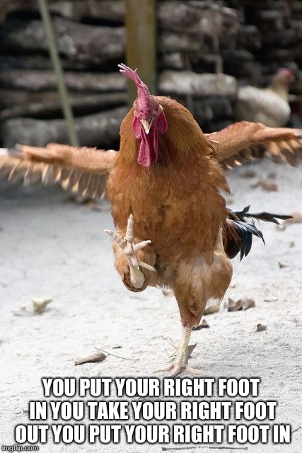 Just let go. | YOU PUT YOUR RIGHT FOOT IN
YOU TAKE YOUR RIGHT FOOT OUT
YOU PUT YOUR RIGHT FOOT IN | image tagged in friday eve chicken,hokey pokey,shut up and dance | made w/ Imgflip meme maker
