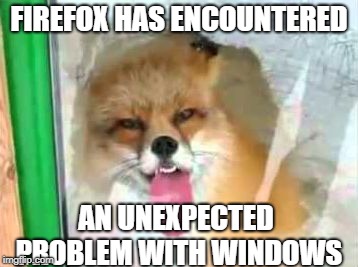 FIREFOX HAS ENCOUNTERED; AN UNEXPECTED PROBLEM WITH WINDOWS | image tagged in fox at window | made w/ Imgflip meme maker