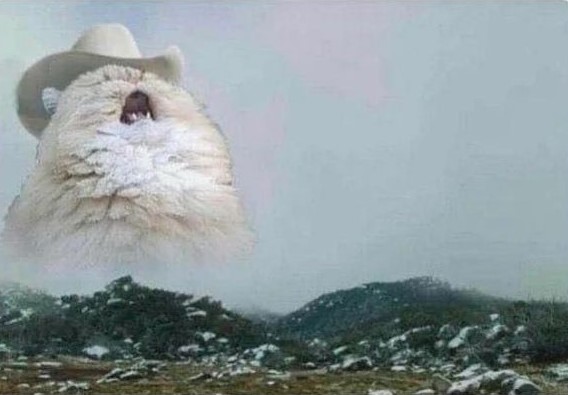 Country Cat Blank Meme Template