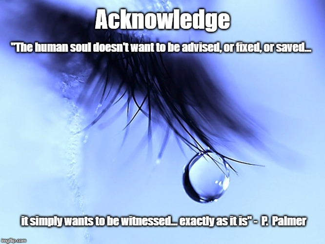Acknowledge | Acknowledge; "The human soul doesn't want to be advised, or fixed, or saved... it simply wants to be witnessed... exactly as it is" -  P.  Palmer | image tagged in sad,witness,love | made w/ Imgflip meme maker