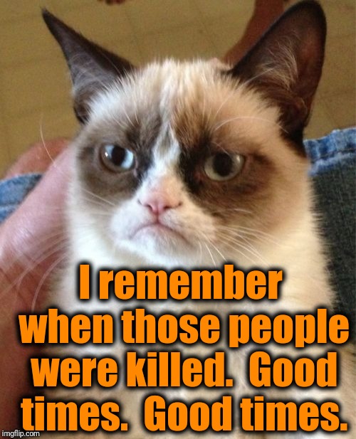 Grumpy Cat Meme | I remember when those people were killed.  Good times.  Good times. | image tagged in memes,grumpy cat | made w/ Imgflip meme maker