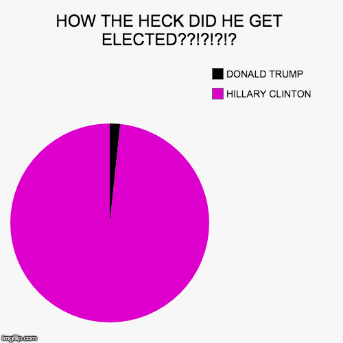 HOW THE HECK DID HE GET ELECTED??!?!?!? | HILLARY CLINTON, DONALD TRUMP | image tagged in funny,pie charts | made w/ Imgflip chart maker