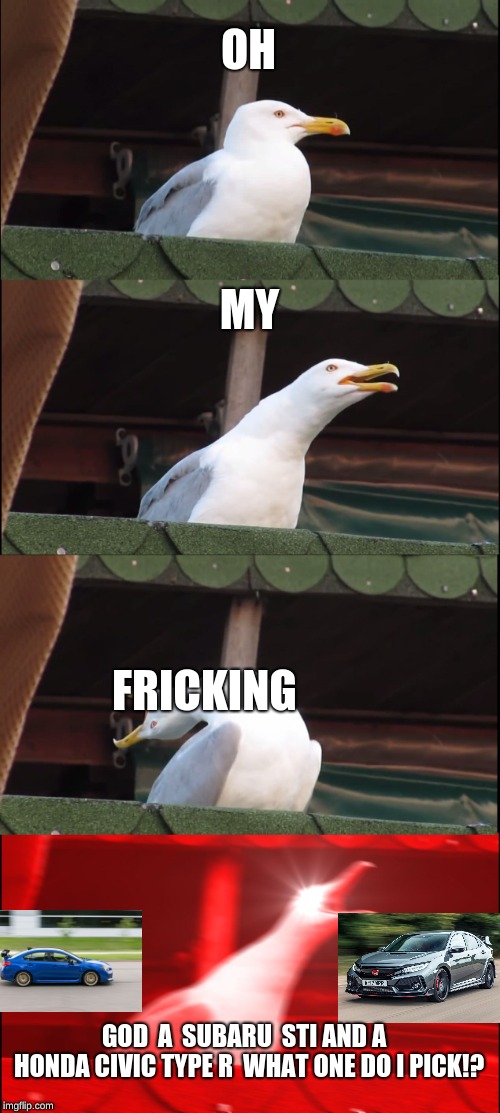 Inhaling Seagull Meme | OH; MY; FRICKING; GOD  A  SUBARU  STI AND A   HONDA CIVIC TYPE R  WHAT ONE DO I PICK!? | image tagged in memes,inhaling seagull | made w/ Imgflip meme maker