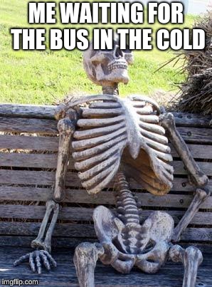 Waiting Skeleton | ME WAITING FOR THE BUS IN THE COLD | image tagged in memes,waiting skeleton | made w/ Imgflip meme maker