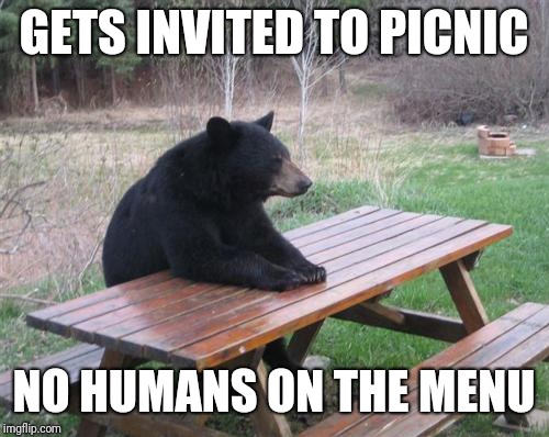 Bad Luck Bear Meme | GETS INVITED TO PICNIC; NO HUMANS ON THE MENU | image tagged in memes,bad luck bear | made w/ Imgflip meme maker