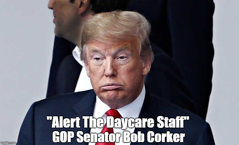 "Trump: Alert The Daycare Staff!" | "Alert The Daycare Staff" GOP Senator Bob Corker | image tagged in sen bob corker,trump,daycare,tantrum,little boy | made w/ Imgflip meme maker