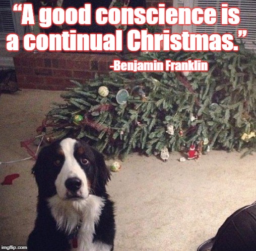 Dog Christmas Tree | “A good conscience is a continual Christmas.”; -Benjamin Franklin | image tagged in dog christmas tree | made w/ Imgflip meme maker