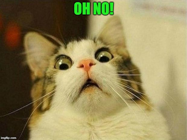 Scared Cat Meme | OH NO! | image tagged in memes,scared cat | made w/ Imgflip meme maker