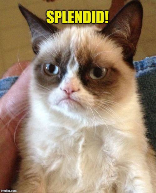 Grumpy Cat Meme | SPLENDID! | image tagged in memes,grumpy cat | made w/ Imgflip meme maker