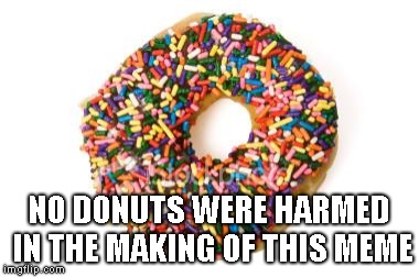 donut | NO DONUTS WERE HARMED IN THE MAKING OF THIS MEME | image tagged in donut | made w/ Imgflip meme maker