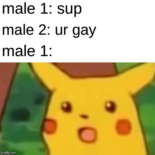 Surprised Pikachu Meme | male 1: sup; male 2: ur gay; male 1: | image tagged in memes,surprised pikachu | made w/ Imgflip meme maker