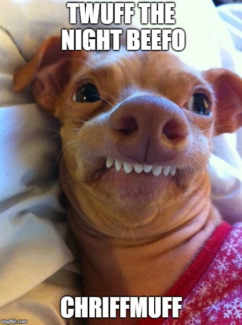 Filver Belv | TWUFF THE NIGHT BEEFO; CHRIFFMUFF | image tagged in overbite dog,merry christmas,memes,christmas memes | made w/ Imgflip meme maker