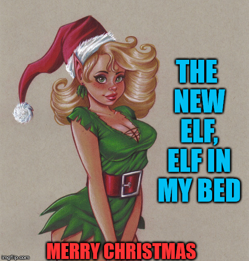This is a new customer for fathers | THE NEW ELF, ELF IN MY BED; MERRY CHRISTMAS | image tagged in memes,elf on the shelf,merry christmas,funny | made w/ Imgflip meme maker