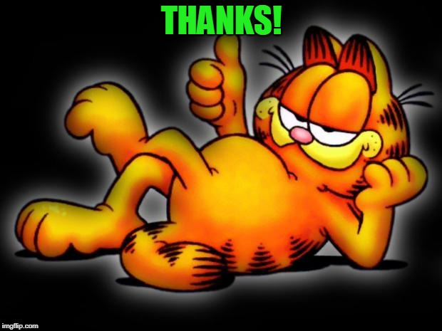 garfield thumbs up | THANKS! | image tagged in garfield thumbs up | made w/ Imgflip meme maker