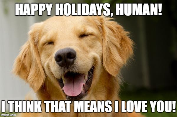 Wholesome Holiday Dog | HAPPY HOLIDAYS, HUMAN! I THINK THAT MEANS I LOVE YOU! | image tagged in happy dog,happy holidays,fluffy dog meme for your new year,fixed the wording | made w/ Imgflip meme maker