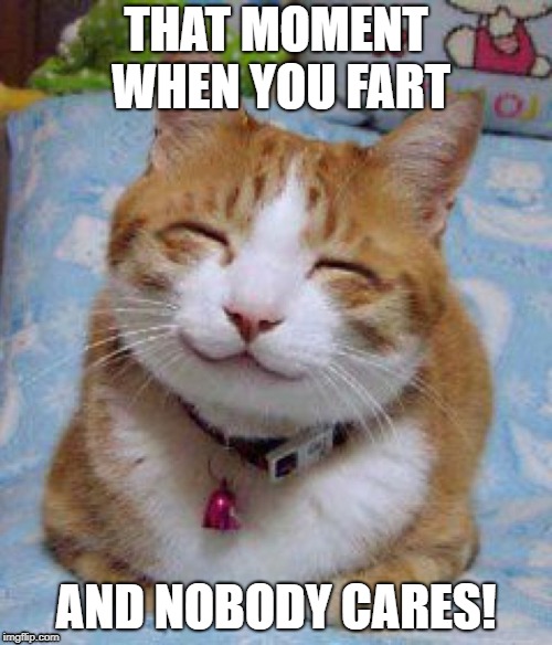 That Moment | THAT MOMENT WHEN YOU FART; AND NOBODY CARES! | image tagged in memes,kitty,fart | made w/ Imgflip meme maker