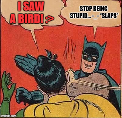 Batman Slapping Robin Meme | I SAW A BIRD! :>; STOP BEING STUPID... -_- *SLAPS* | image tagged in memes,batman slapping robin | made w/ Imgflip meme maker