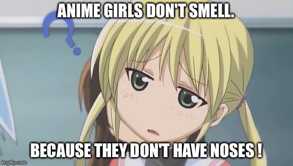 They don't smell. | ANIME GIRLS DON'T SMELL. BECAUSE THEY DON'T HAVE NOSES ! | image tagged in anime girl | made w/ Imgflip meme maker
