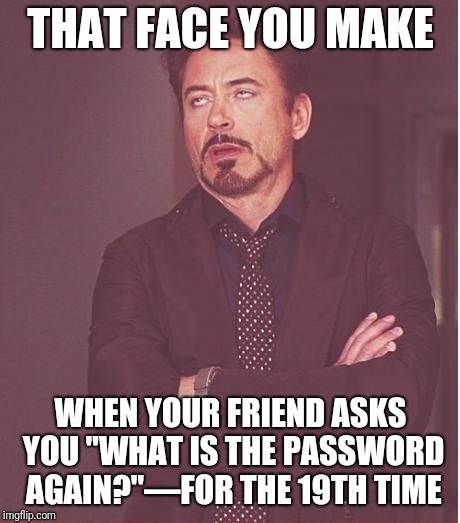 Face You Make Robert Downey Jr | THAT FACE YOU MAKE; WHEN YOUR FRIEND ASKS YOU "WHAT IS THE PASSWORD AGAIN?"—FOR THE 19TH TIME | image tagged in memes,face you make robert downey jr | made w/ Imgflip meme maker