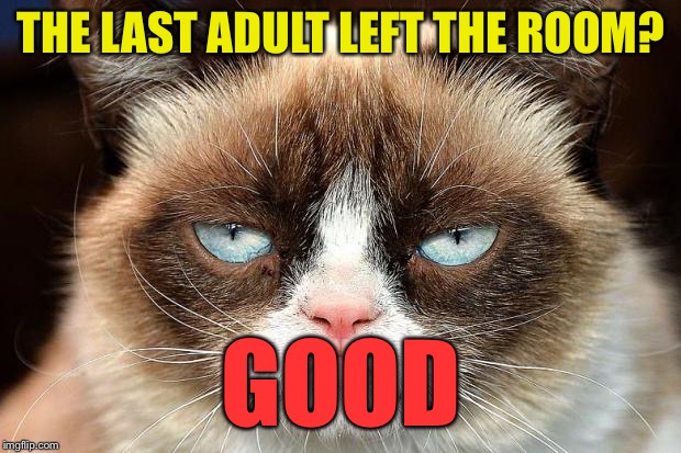 Grumpy Cat Not Amused | THE LAST ADULT LEFT THE ROOM? GOOD | image tagged in memes,grumpy cat not amused,grumpy cat | made w/ Imgflip meme maker