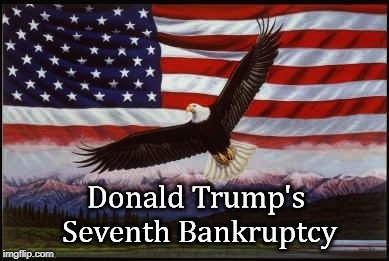 How's your portfolio doing? | . | image tagged in trump,bankruptcy,flag,eagle | made w/ Imgflip meme maker