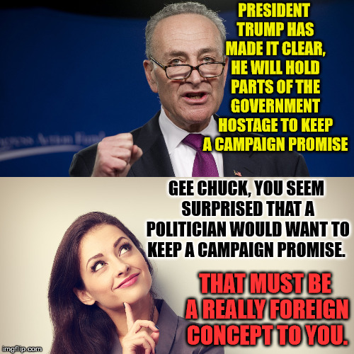 PRESIDENT TRUMP HAS MADE IT CLEAR, HE WILL HOLD PARTS OF THE GOVERNMENT HOSTAGE TO KEEP A CAMPAIGN PROMISE; GEE CHUCK, YOU SEEM SURPRISED THAT A POLITICIAN WOULD WANT TO KEEP A CAMPAIGN PROMISE. THAT MUST BE A REALLY FOREIGN CONCEPT TO YOU. | image tagged in chuck schumer,campaign promise | made w/ Imgflip meme maker