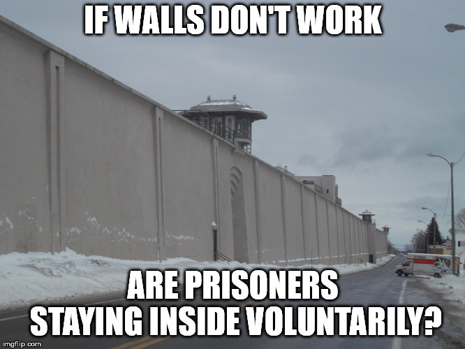 I think it has been proven that walls work very well. | IF WALLS DON'T WORK; ARE PRISONERS STAYING INSIDE VOLUNTARILY? | image tagged in prison walls | made w/ Imgflip meme maker