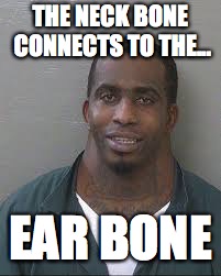 THE NECK BONE CONNECTS TO THE... EAR BONE | made w/ Imgflip meme maker